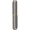 Weld-On Hinge